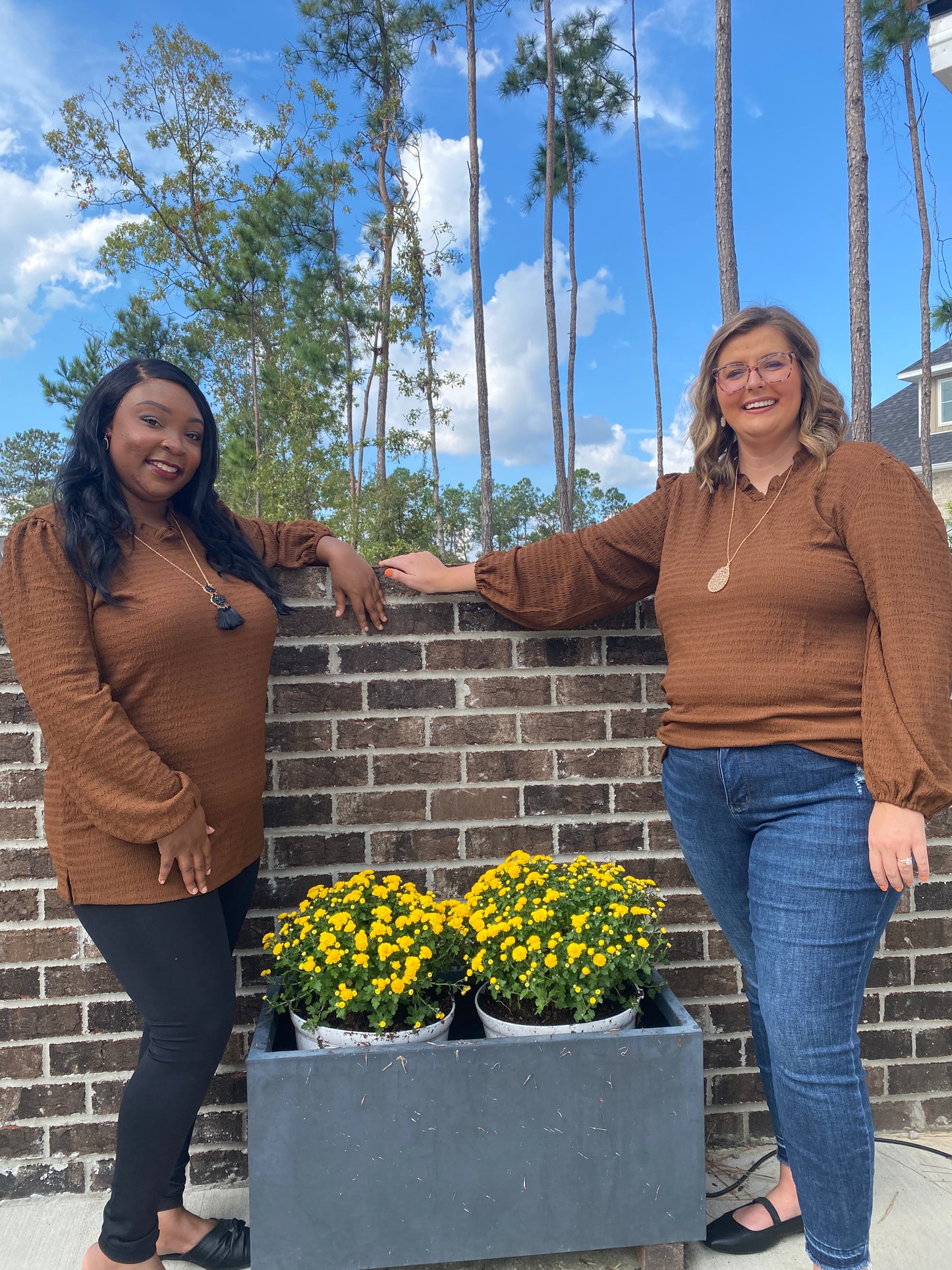 Brown V-Neck Long-Sleeve Blouse